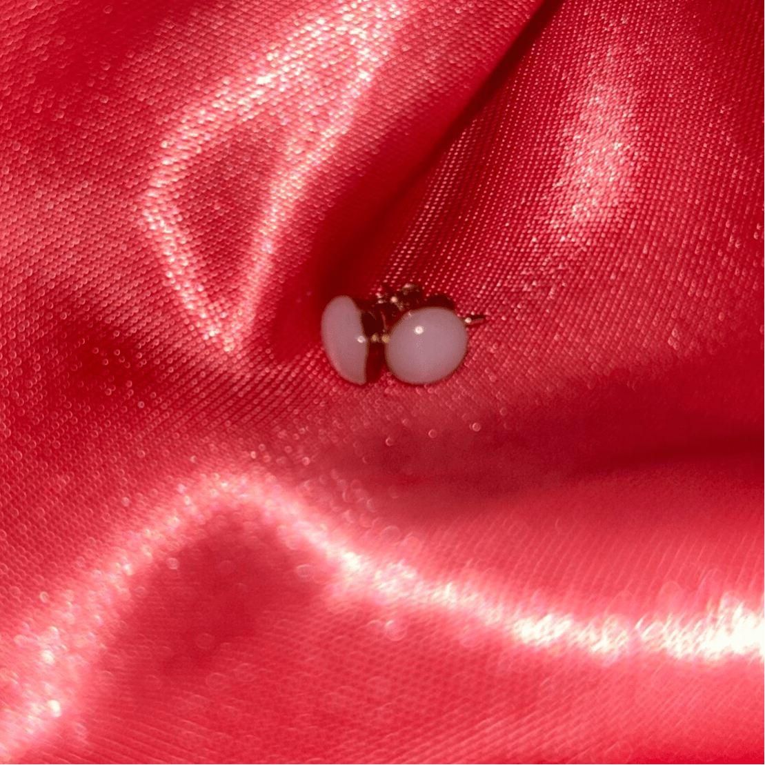 Puce d'oreilles Millie-Mon Bijou Lacté