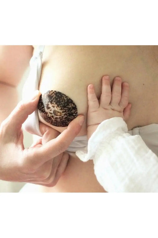 Comment fonctionnent les coquillages d’allaitement ? Le guide complet